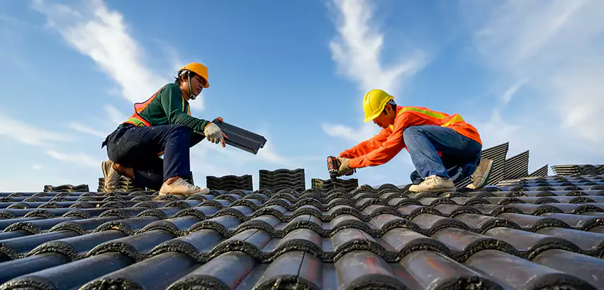 Professional Shed Roof Replacement Services in Maple Valley, WA